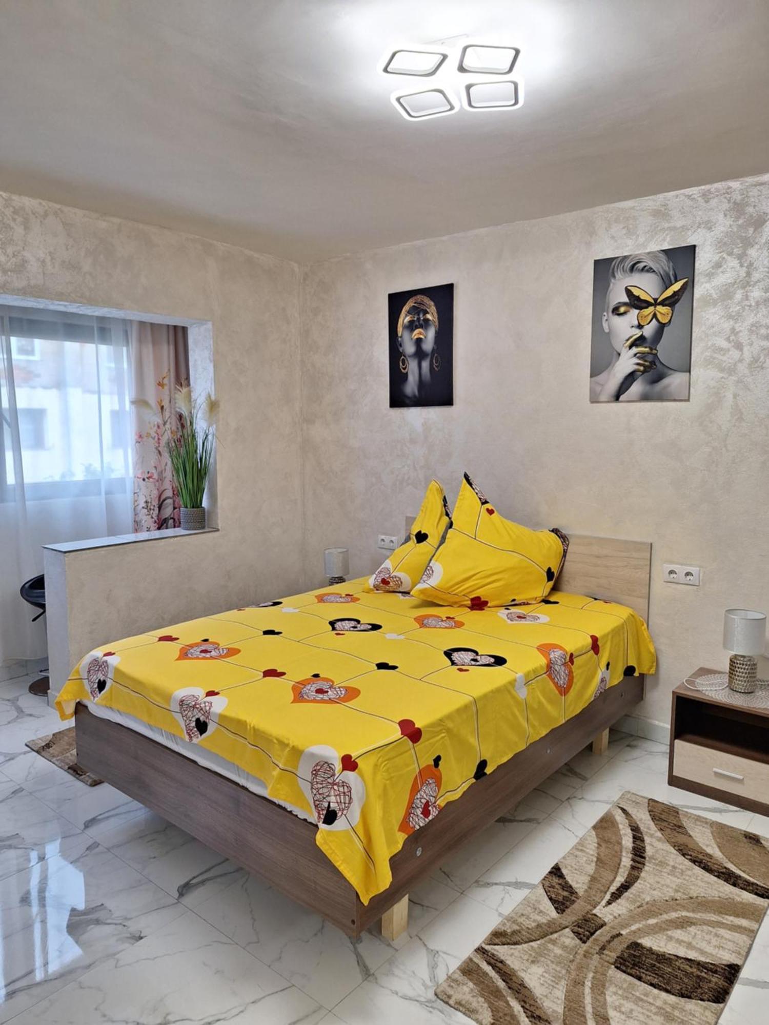 Apartament Timeea Băile Herculane Exterior foto